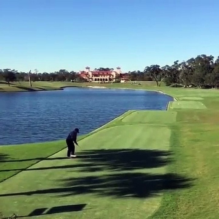 Un oiseau passe au mauvais moment au dessus d’un terrain de golf