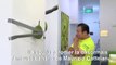 Singapour: un vendeur de durian parodie l'oeuvre de la banane scotchée au mur