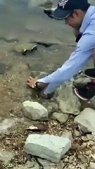 Il réanime un poisson en bouche à bouche