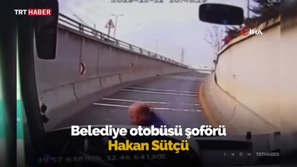 Kahraman şoför yaralı yavru kediyi hayata bağladı