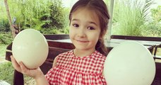 Bella Devyatkina, la petite fille qui parle 8 langues
