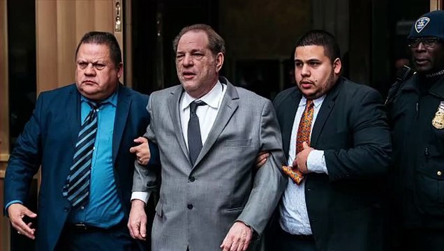 Harvey Weinstein pionnier dans l'égalité homme / femme au cinéma ? Ses déclarations chocs