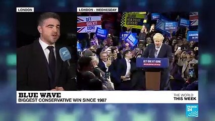 'Johnson's single-issue Brexit campaign succeeded, as the Remain vote was split'