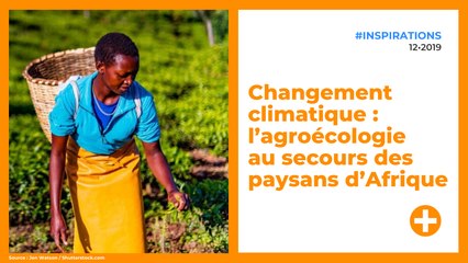 Changement climatique : l’agroécologie au secours des paysans d’Afrique