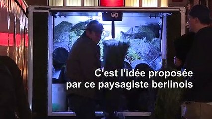 À Berlin, on peut louer des sapins de Noël