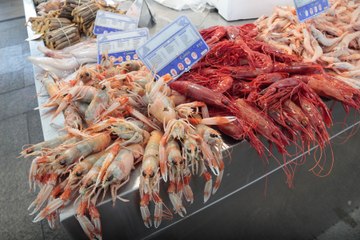 Recetuits: Alerta sanitarias por chupar cabezas de gambas