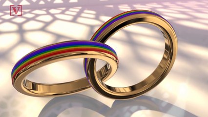 Hallmark Channel Apologies for Not Airing Same-Sex Wedding Ads