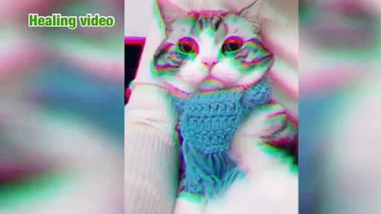Animal healing 9