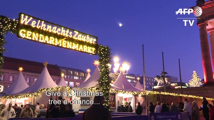 Berlin Christmas tree rental service aims to cut waste