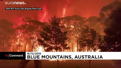 Blue Mountains fustigadas por incêndios