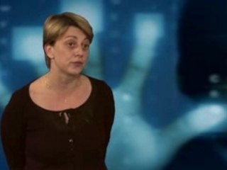 le dut stid de Vannes vu par les professionnels