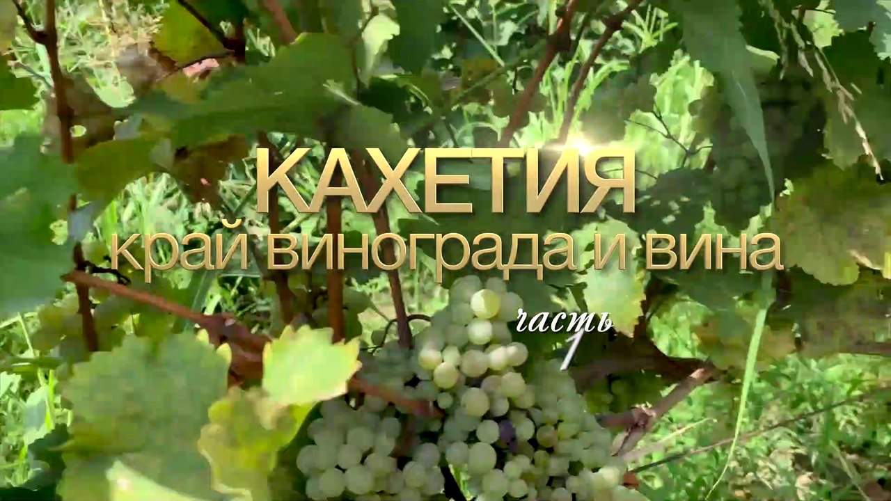 Кахетия, край винограда и вина (сюжет третий, часть 1)