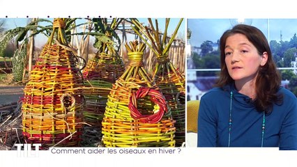 TILT - 16/12/2019 Partie 3 - Comment aider les oiseaux en hiver ?