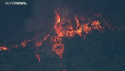 شاهد: سيدني تواجه حالة طوارىء صحية بسبب دخان الحرائق السام