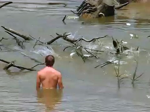 Toujours se méfier d'un banc de poissons... Surtout quand ils sont aussi nombreux