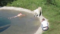 Ce dresseur prend un bain avec des lions