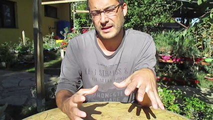 RELACIÓN ENTRE SUSTRATO, RIEGO Y ABONO EN BONSÁI ֍ CURSO BÁSICO DE BONSÁI ✅