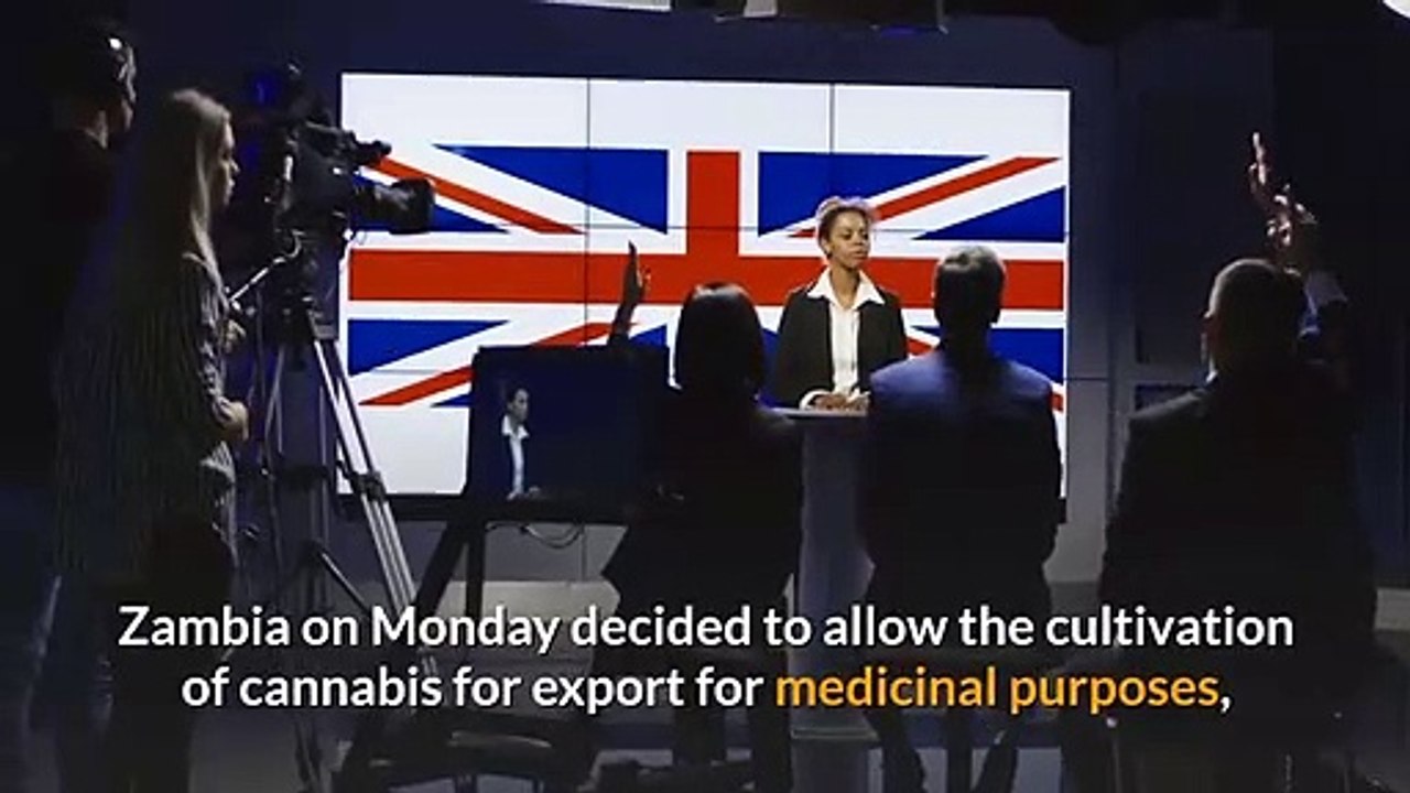 Zambia to allow medicinal cannabis