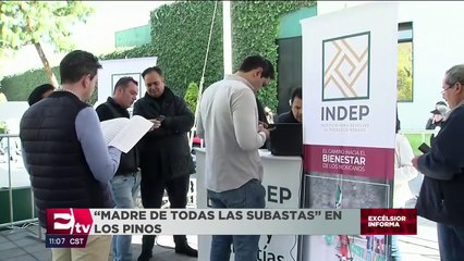 SAE recauda más de 17 mdp en &#039;madre de las subastas&#039;