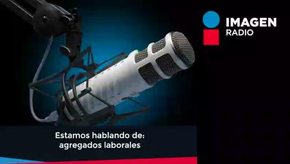 En negociación del T-MEC "nos vieron la cara" a todos los mexicanos: Luis Enrique Mercado