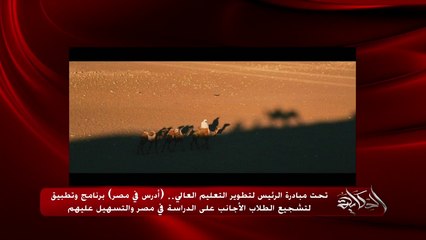 Study in Egypt, where knowledge is immersed with culture