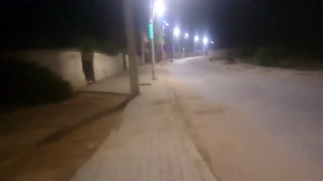 نحن المغاربة من المغرب الى ليبيا لا نخاف زائر الفئران وكلاب الشوارع
