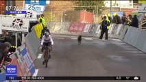 [이 시각 세계] 벨기에 사이클 대회에 나타난 '불청객'