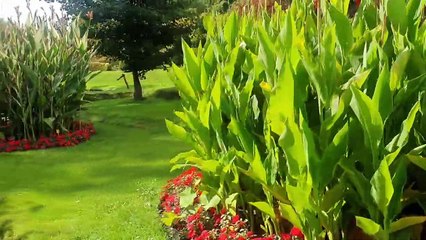 Ogrody Zamkowe Arcen