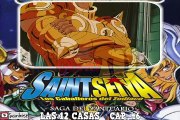 LOS CABALLEROS DEL ZODIACO SAGA SANTUARIO TG C.46