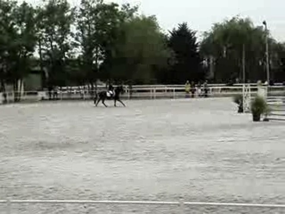 Cce Brazey Kprice Lolo