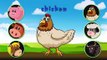 Learn Fruits And ZOO Safari Animals with Fun Animation for Children