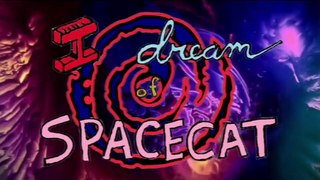 I Dream of SpaceCat