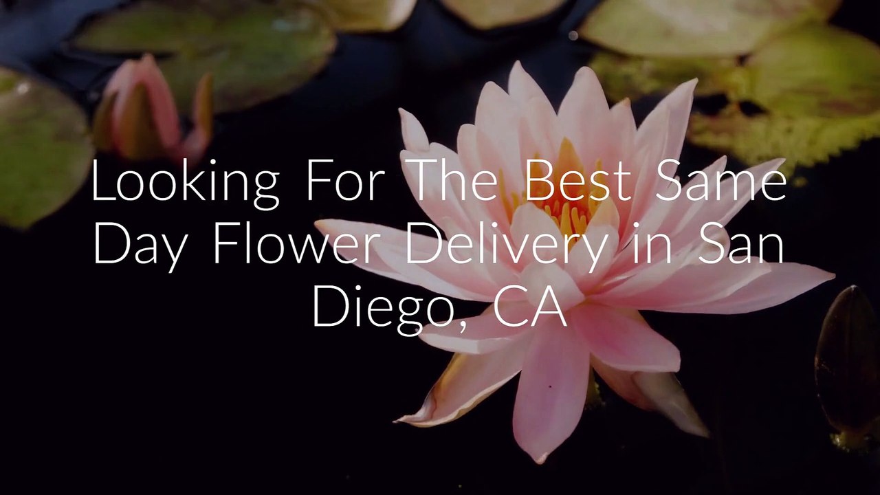 Same Day Flower Delivery San Diego, CA | (619) 324-5940