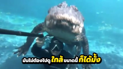ใจแกมันได้ !! ฟรี ๆ เลย ไปกับพี่เขาไหม ดำน้ำสัมผัสจระเข้ แบบสนิทสนม