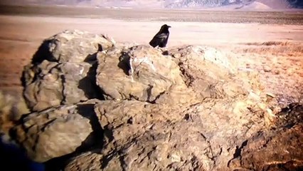 AND UNEASY LIES THE MIND: Official HD Trailer