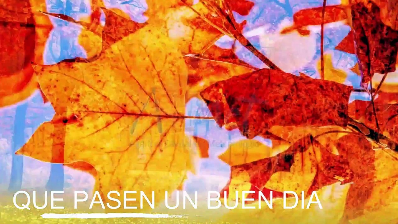 Conoce El Tiempo de Hoy Martes 17 de Diciembre de 2019