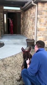 Ces parents surprennent leur fille en lui offrant ce chien dont elle s’est occupée dans un refuge.