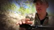 MeatEater S01E10 Big Bucks and Small Game Whitetail Deer