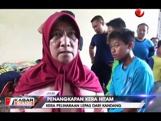 Kera Hitam Peliharaan Warga Lepas dan Lukai Pemiliknya