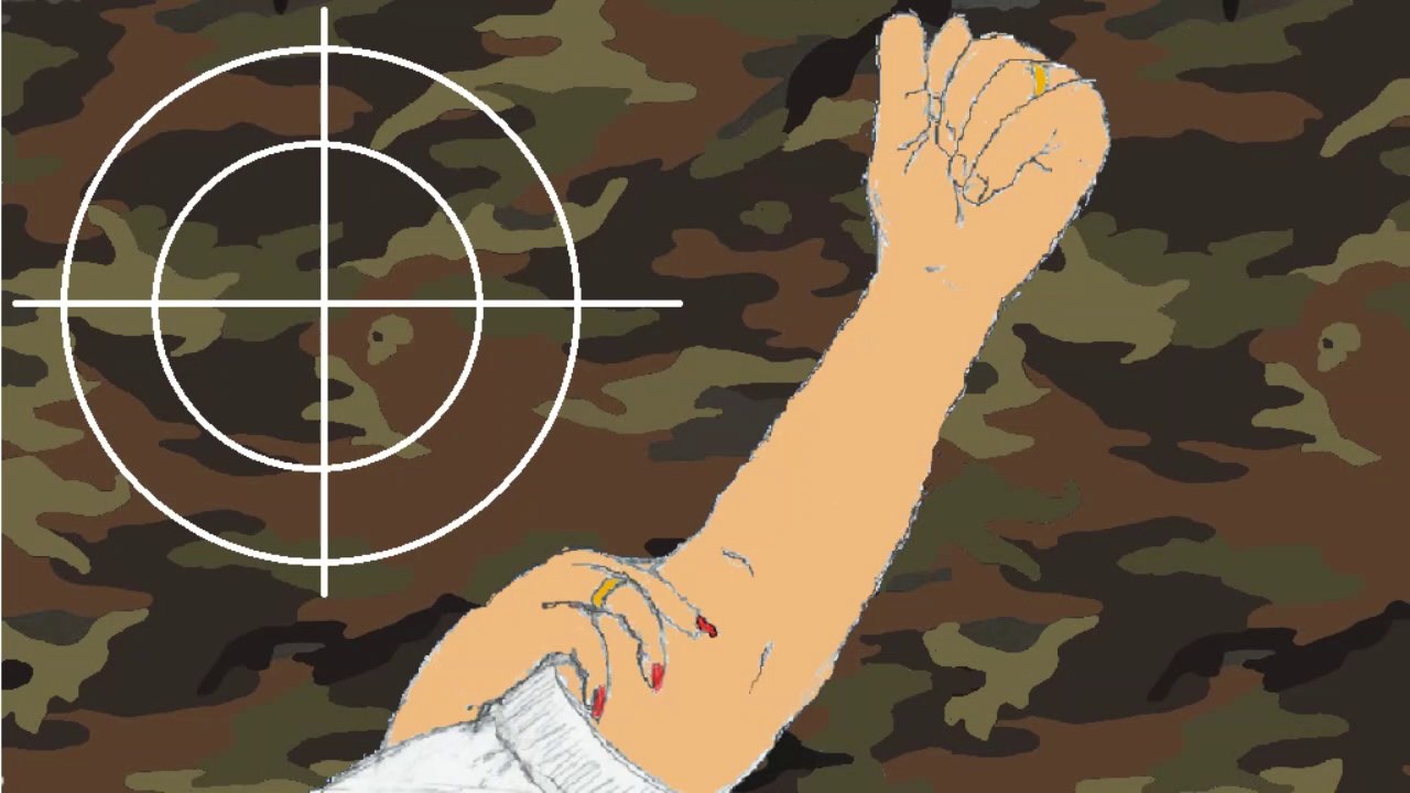 (2 in 5) the terrorism charge against bundeswehr soldier franco albrecht