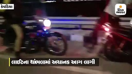 સ્ટેચ્યૂ ઓફ યુનિટી પાસે લાઇટના થાંભલામાં લાગેલી આગ કાબૂમાં