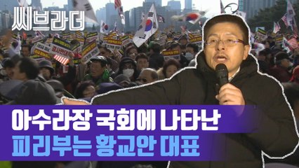 자유한국당, 우리공화당 지지자들 국회 진입 시도에 마이크 잡은 황교안 [씨브라더]