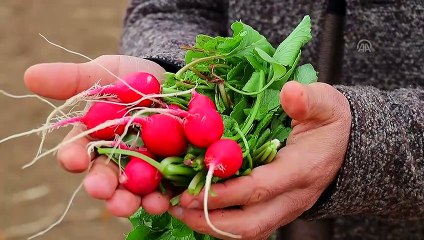 Devletten 30 bin lira hibe aldı hayatı değişti - VAN