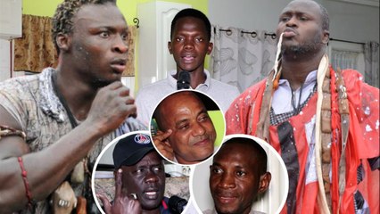 Officiel  Luc Nicolaï vient de ficeler le combat Modou Lô vs Ama Baldé