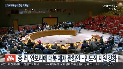 美거부 뻔한 '대북제재 완화' 추진 중국·러시아 속셈은