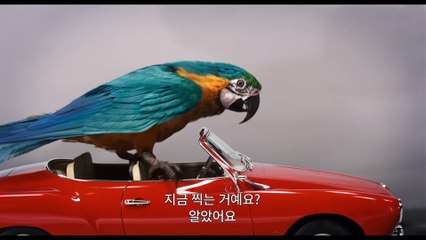 영화 [닥터 두리틀] 오디션에서 생긴 일