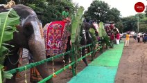 Watch 28 elephants being fed and trained at this rejuvenation camp in Tamil Nadu