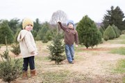 Weihnachtsbaum: Natürlich, künstlich oder keinen?