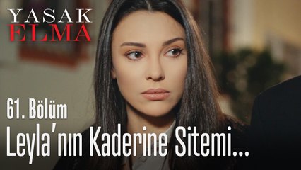 Leyla huzurun peşinde - Yasak Elma 61. Bölüm