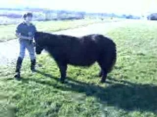 Viideo de nous auprés de l'étang